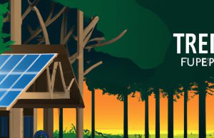 Eco-Adventures: Top 10 Sustainable Travel Destinations for the Conscious Explorer