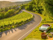 Culinary Road Trips: 7 Epic Routes to Taste the World by Car