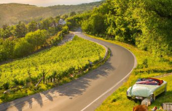 Culinary Road Trips: 7 Epic Routes to Taste the World by Car